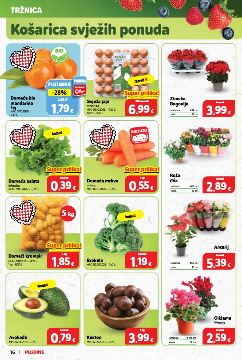 brokula,krumpir,lončanica,mrkva